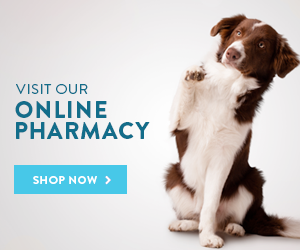 Online Pet Pharmacy
