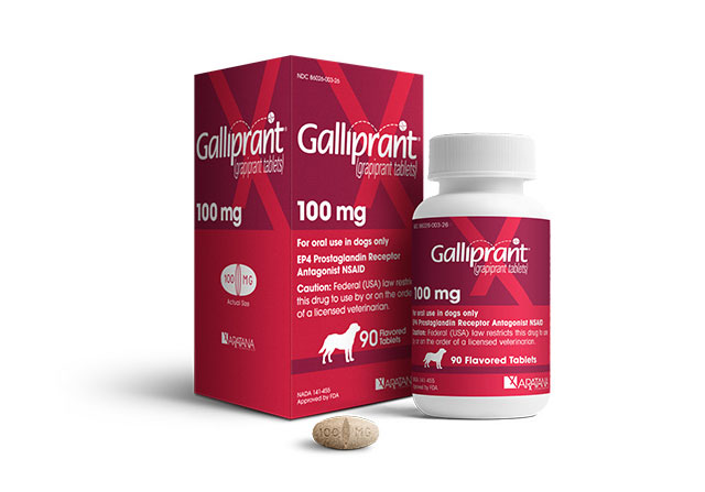 Galliprant for Osteoarthritis in Dogs