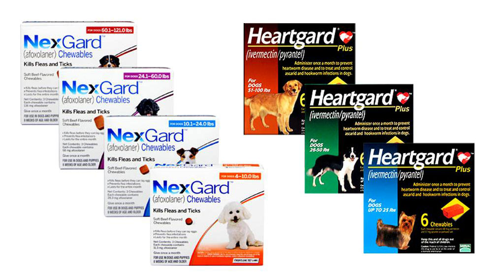 Nexgard & Heartgard Rebates are Now Instant!