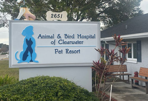 Animal & Bird Hospital of Clearwater exterior