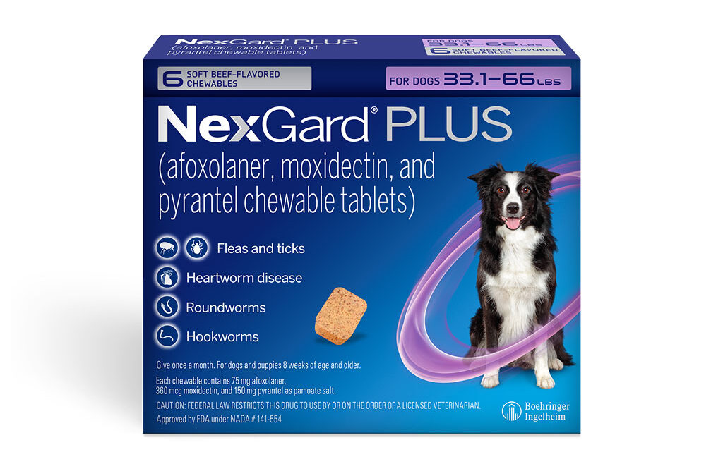 Now Available: NexGard Plus for Complete Protection