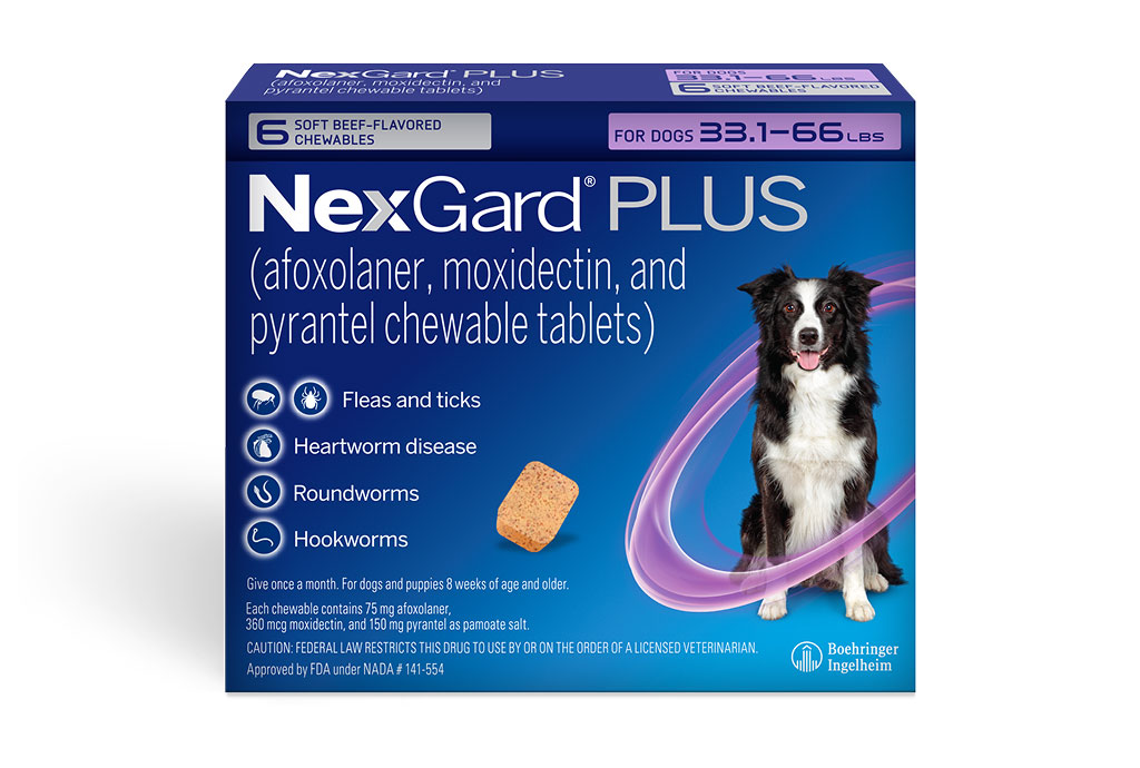 Nexgard Plus
