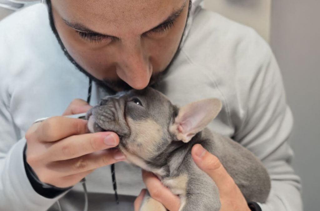 Compassionate Care from Your Trusted Clearwater Vet